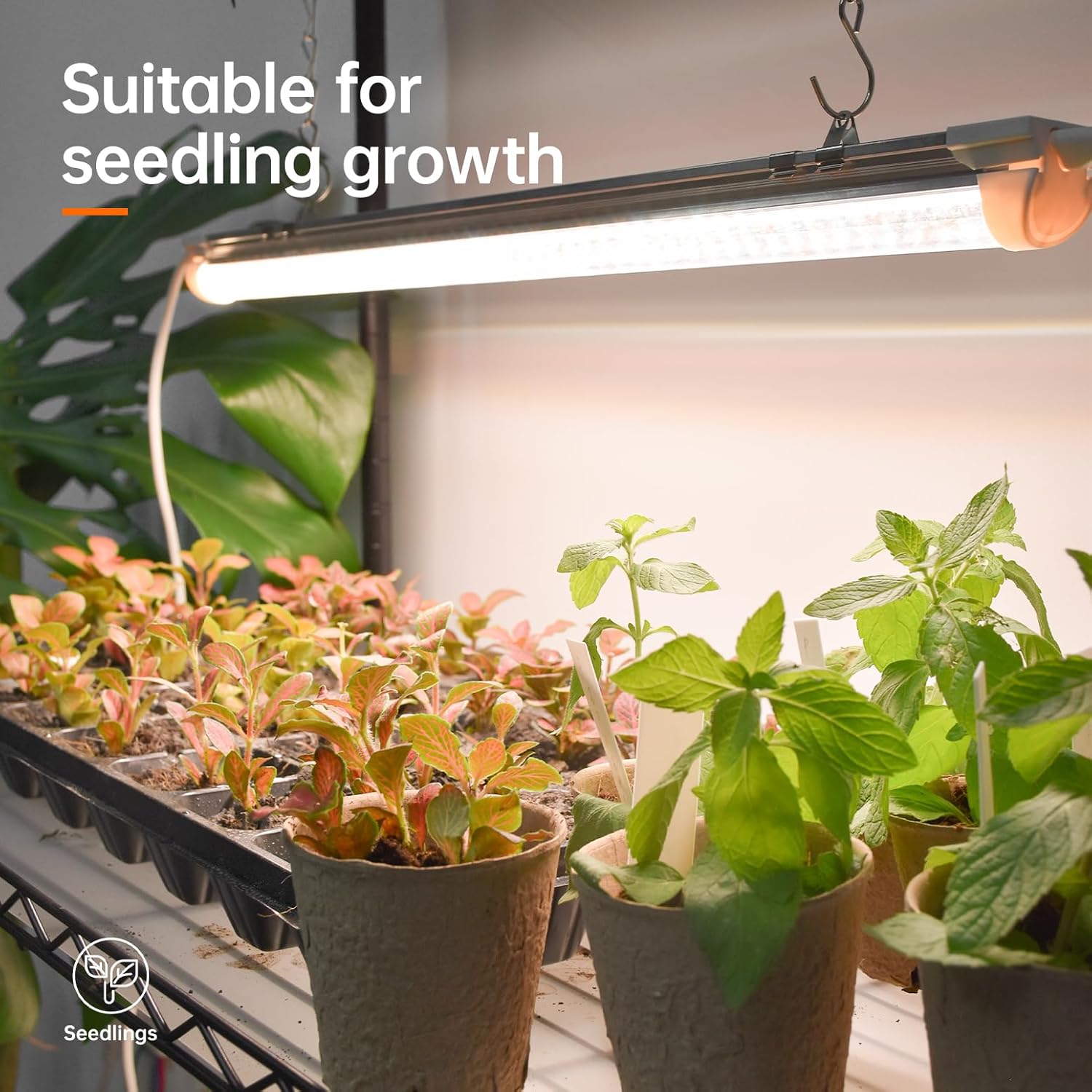 Bstrip Plant Shelf with Grow Light, Metal Plant Stand with Adjustable Rack and Wheels, 5 Pack 24W Full Spectrum Grow Light Strip for Indoor Plants, Seed Starting, Seed Tray, 29.5"x13.8"x71"