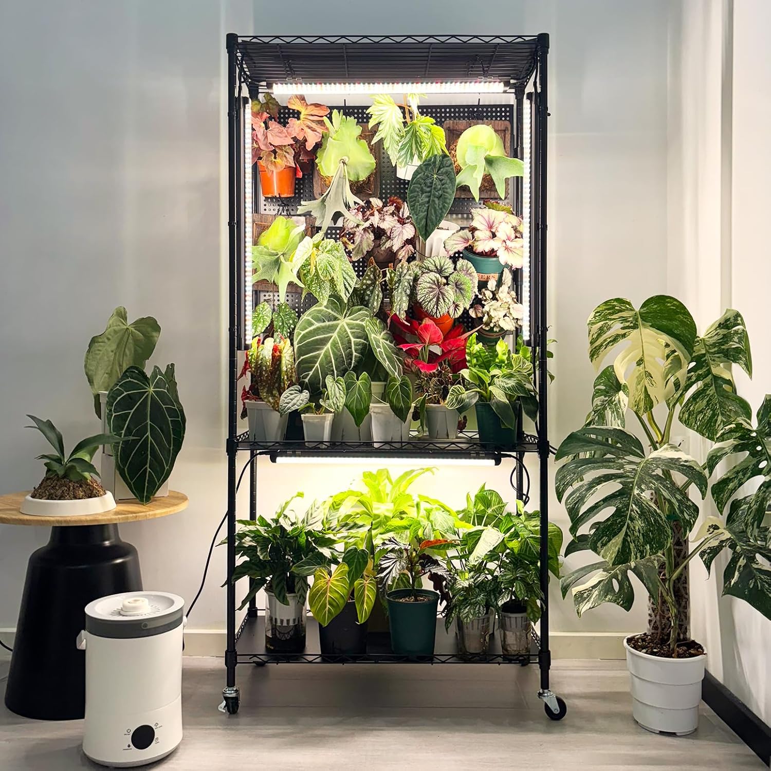 Bstrip Plant Shelf with Grow Light & Pegboard, Metal Plant Stand with Adjustable Rack and Wheels, 4 x 24W Full Spectrum Grow Light Strip for Indoor Plants, Foliage Plants, Seedling, 29.5"x13.8"x59"